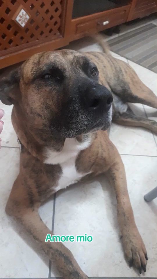 TikTok video thumbnail by cry_mamy