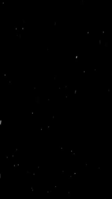 TikTok video thumbnail by lucillegacha