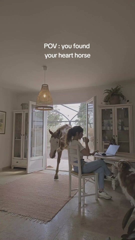 TikTok video thumbnail by ambroggiani