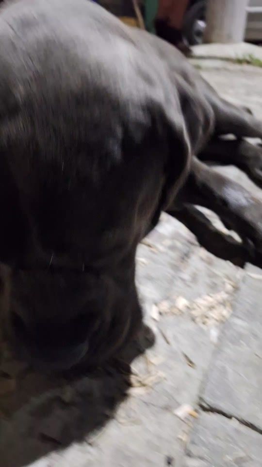 TikTok video thumbnail by ciriganuzabar