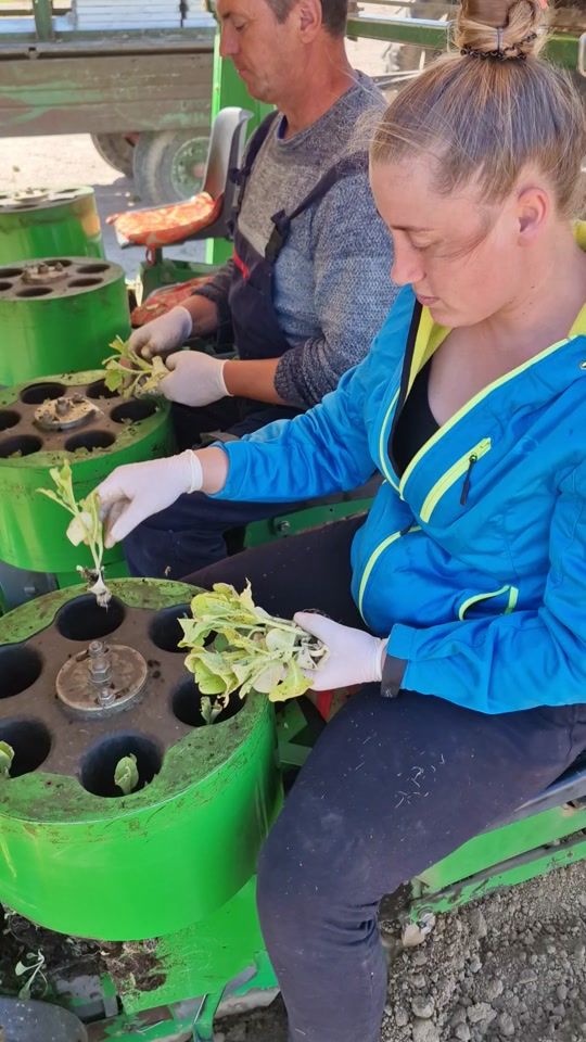 TikTok video thumbnail by ..deea..22