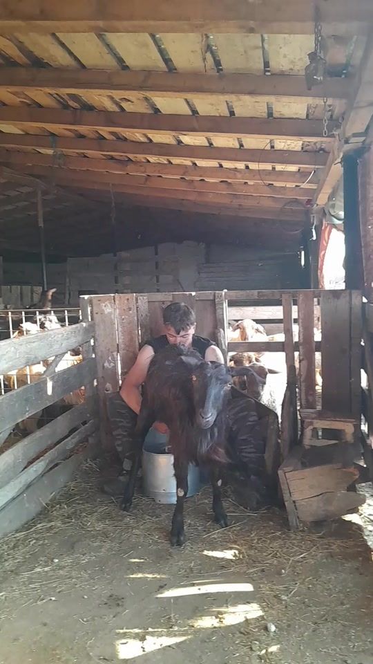 TikTok video thumbnail by jeancersetorul