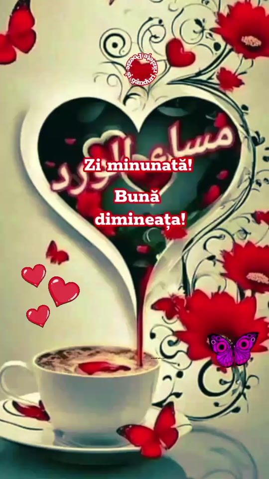 TikTok video thumbnail by licaviorica
