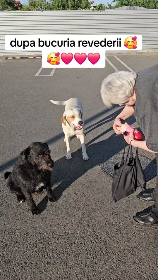 TikTok video thumbnail by valentinmiclos