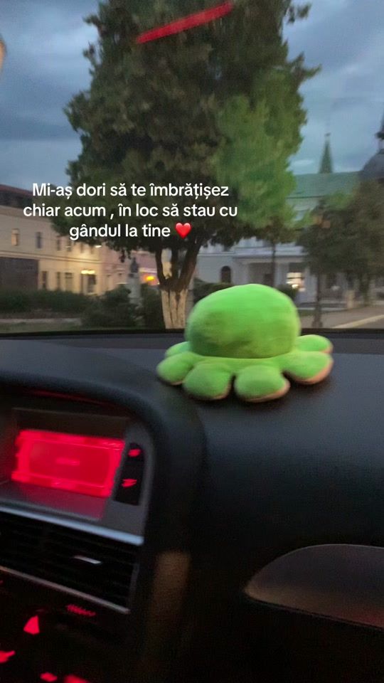 TikTok video thumbnail by raluca_04_rd