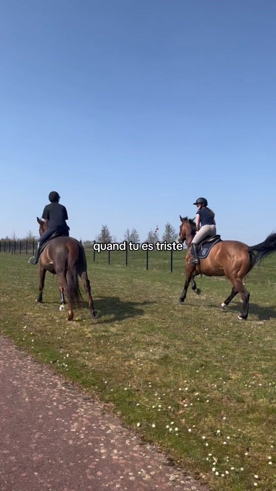 TikTok video thumbnail by juliette_cornaire