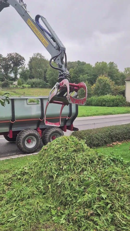 TikTok video thumbnail by hansbayern