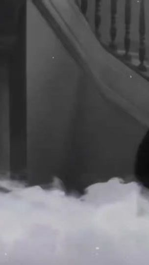 TikTok video thumbnail by soniarivalta