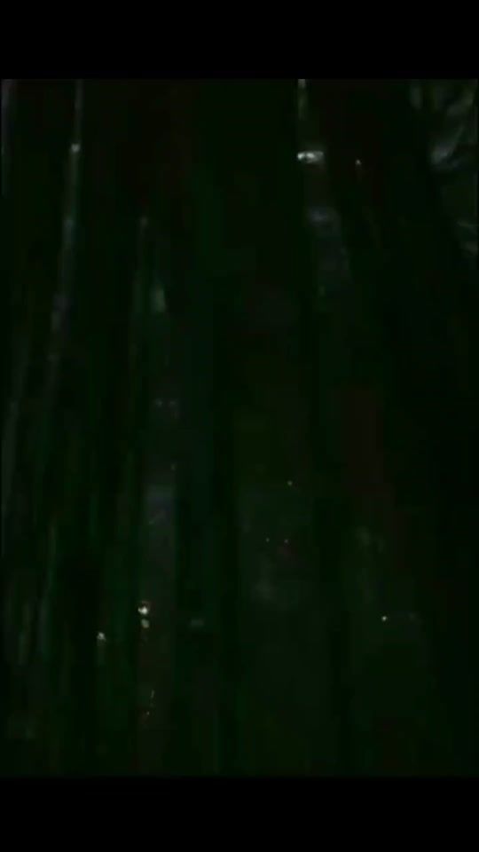 TikTok video thumbnail by eldragonfriki