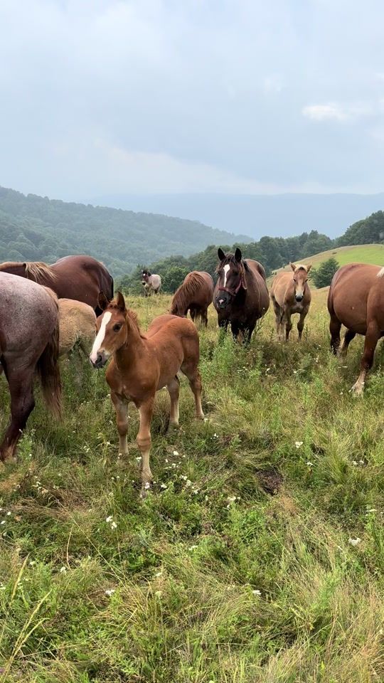 TikTok video thumbnail by cr.razvan