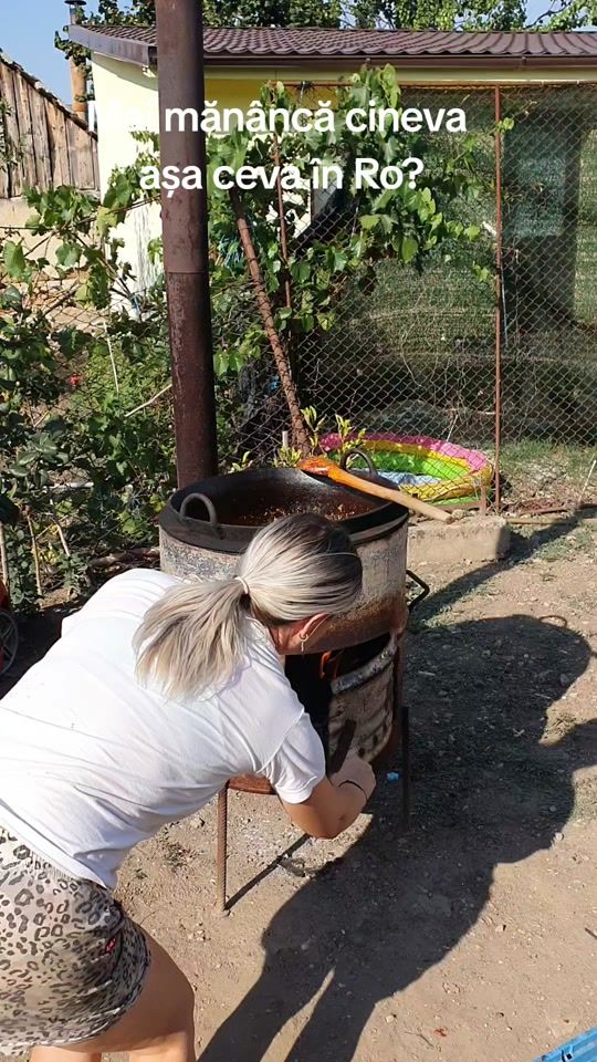 TikTok video thumbnail by fionelaviorica