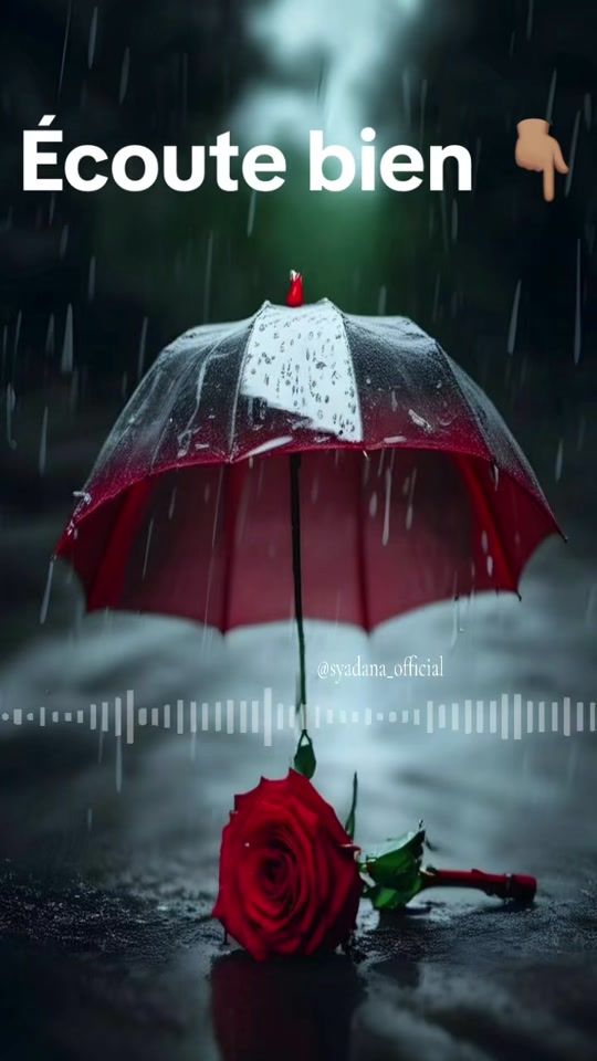 TikTok video thumbnail by louloute_off