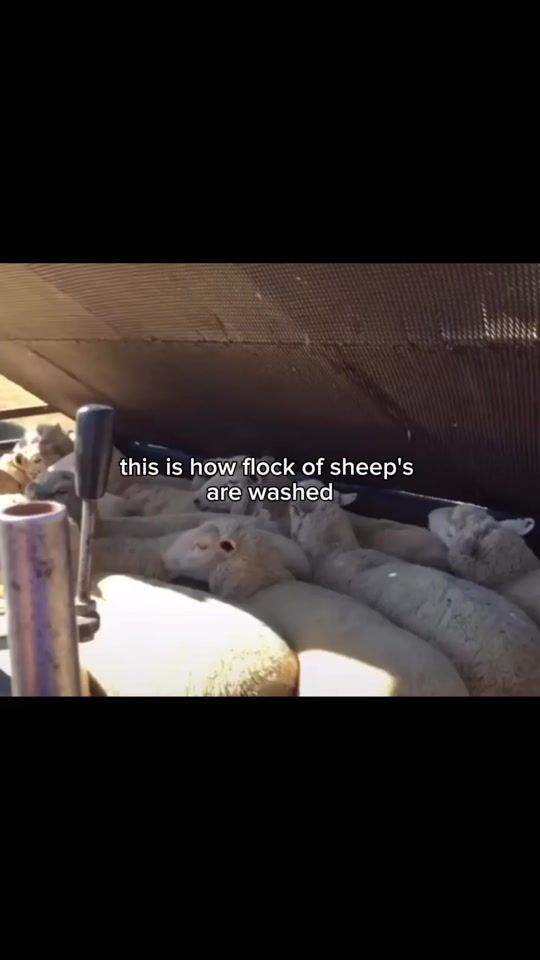 TikTok video thumbnail by unlimitedknowledge19