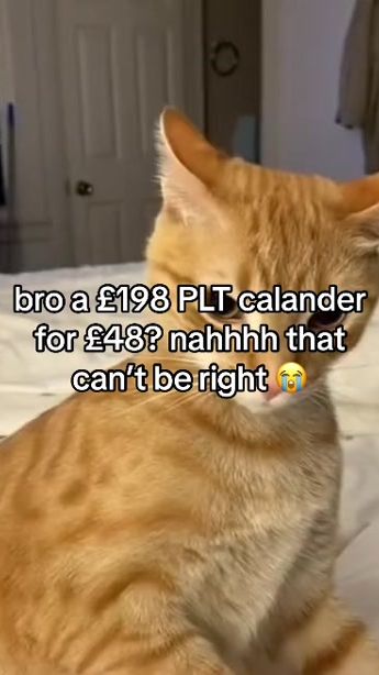 TikTok video thumbnail by aaevie
