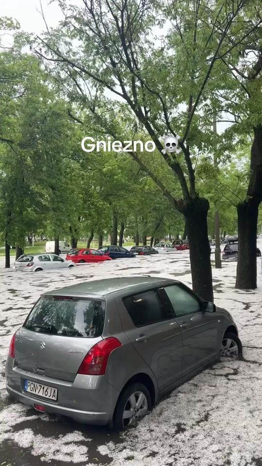 TikTok video thumbnail by borsuka420