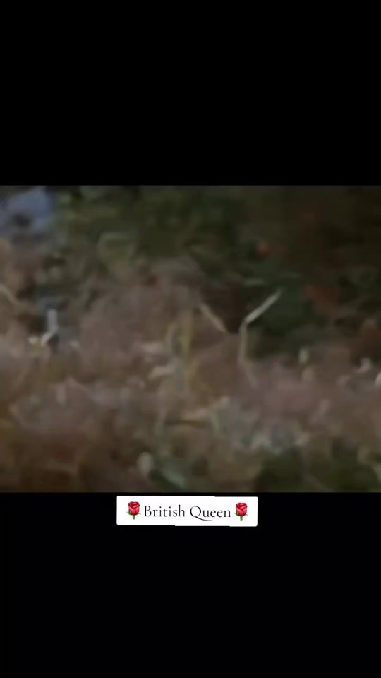 TikTok video thumbnail by bollywood_90s_vibesong