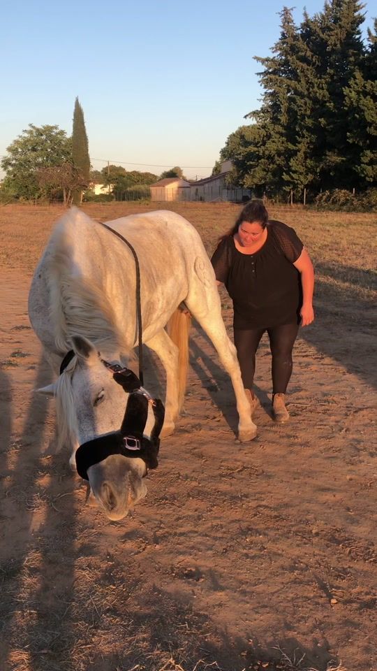 TikTok video thumbnail by cavalieredesmarais