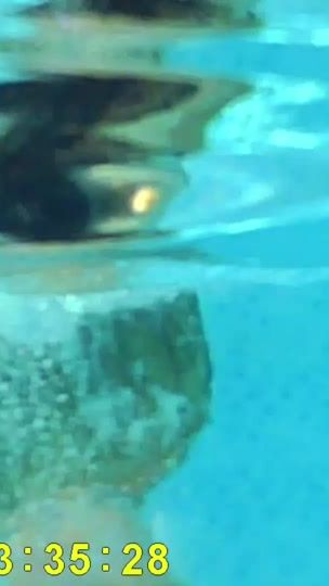 TikTok video thumbnail by _arvell