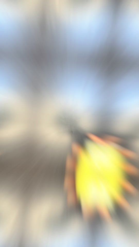 TikTok video thumbnail by niangcook
