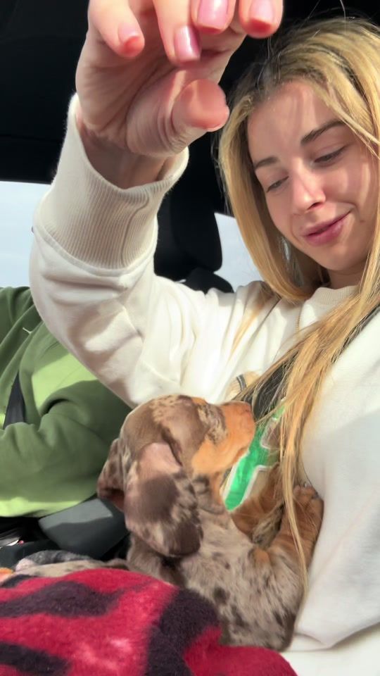 TikTok video thumbnail by valeriaesparzamonreal
