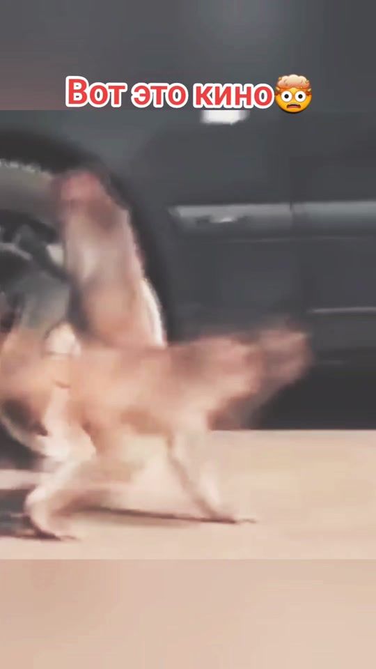 TikTok video thumbnail by ljucius