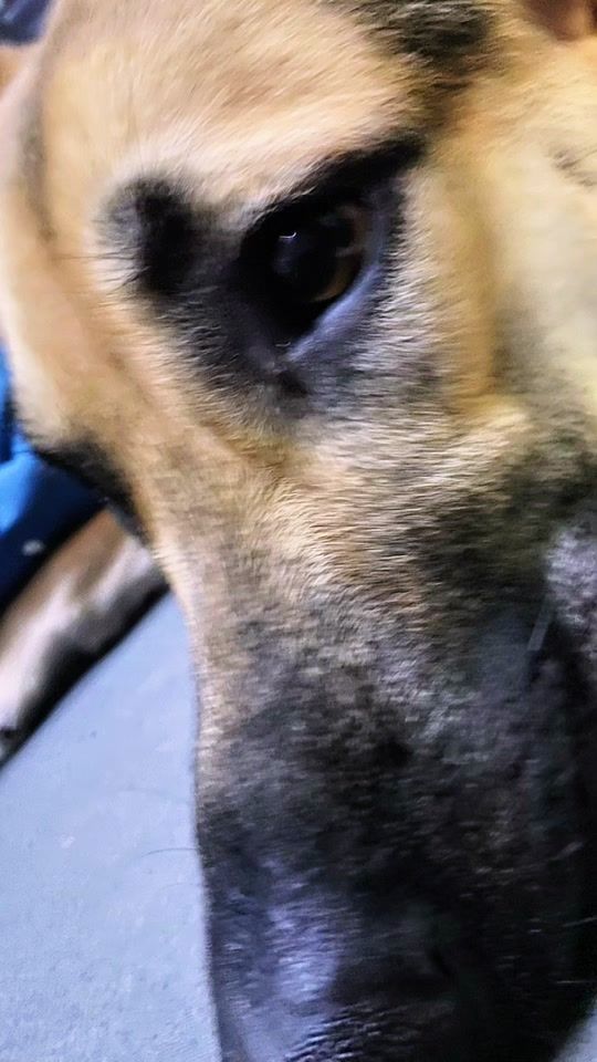 TikTok video thumbnail by bester_ari9083