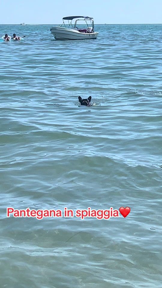 TikTok video thumbnail by soniamiazzo7