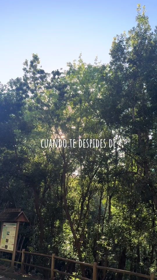 TikTok video thumbnail by caroltoledopsico