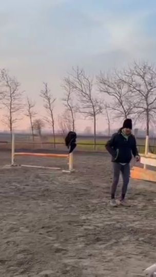 TikTok video thumbnail by equestriaan.emma