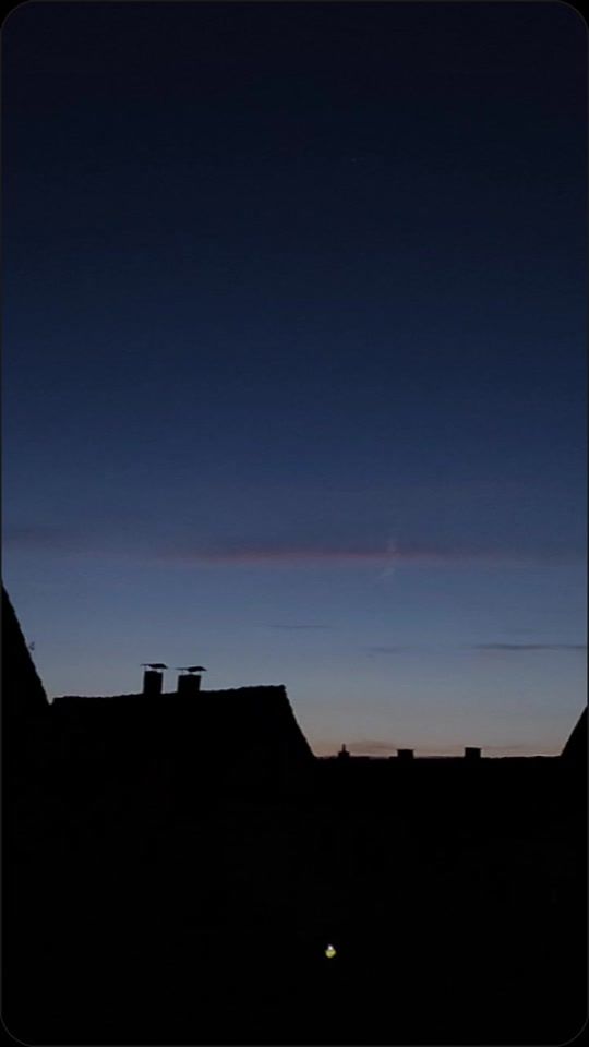 TikTok video thumbnail by noahs_welt_