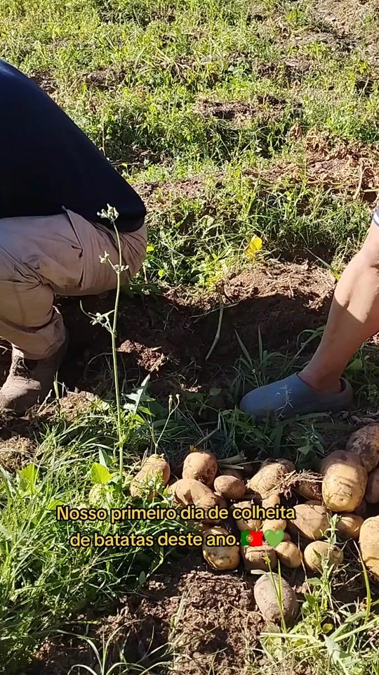 TikTok video thumbnail by lolo.schneider