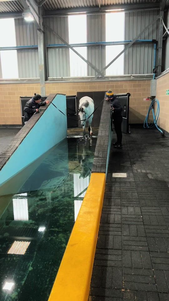 TikTok video thumbnail by johndina3