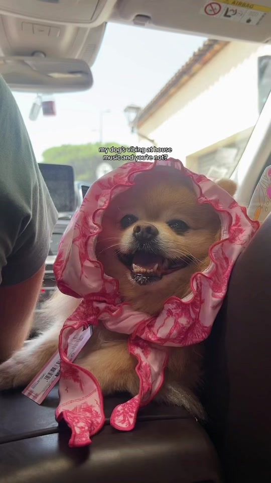 TikTok video thumbnail by andreadjeric