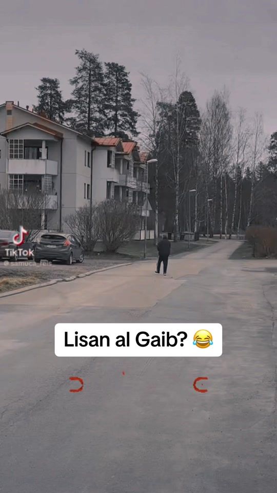TikTok video thumbnail by miksupetteri