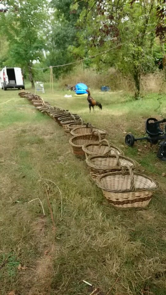 TikTok video thumbnail by tinoirreinhard