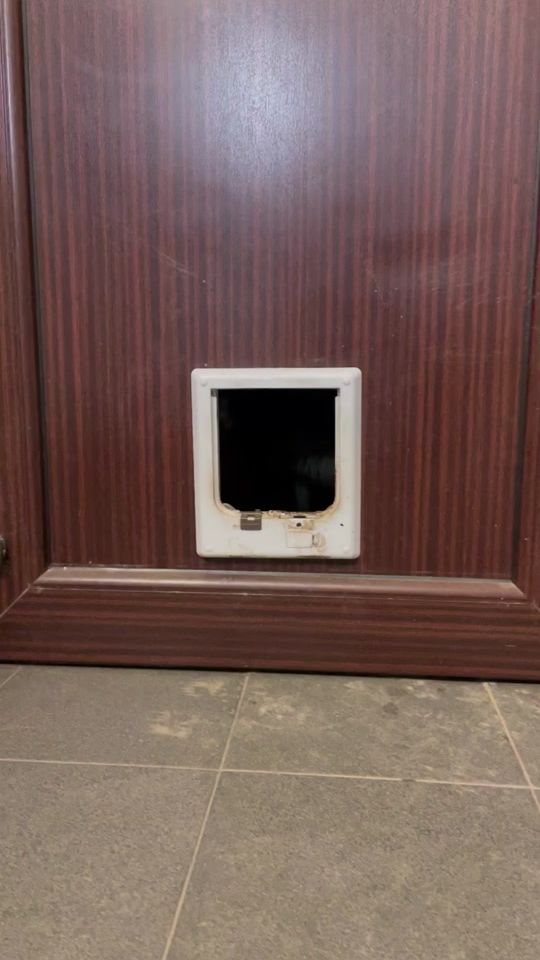 TikTok video thumbnail by german.shepherd77