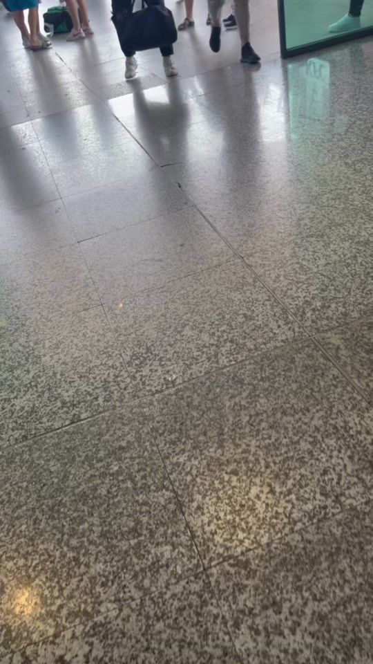 TikTok video thumbnail by tafilcela