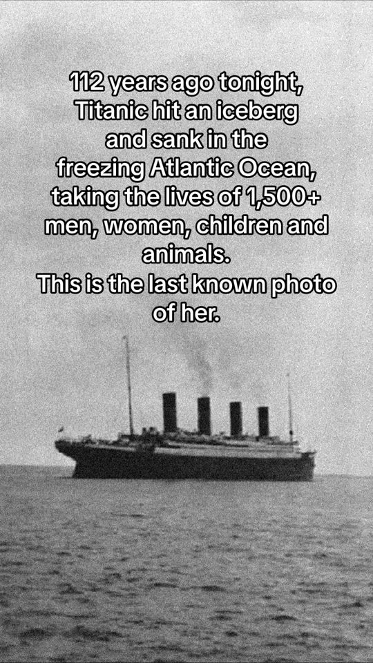 TikTok video thumbnail by michaelfessey