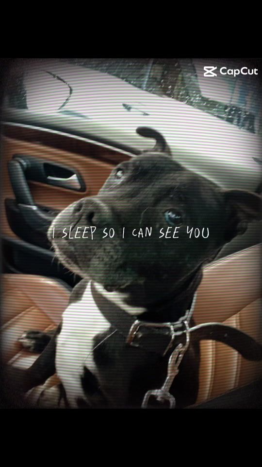 TikTok video thumbnail by bjames2024