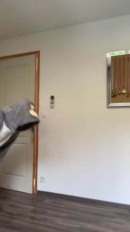 TikTok video thumbnail by la..gymnaste_