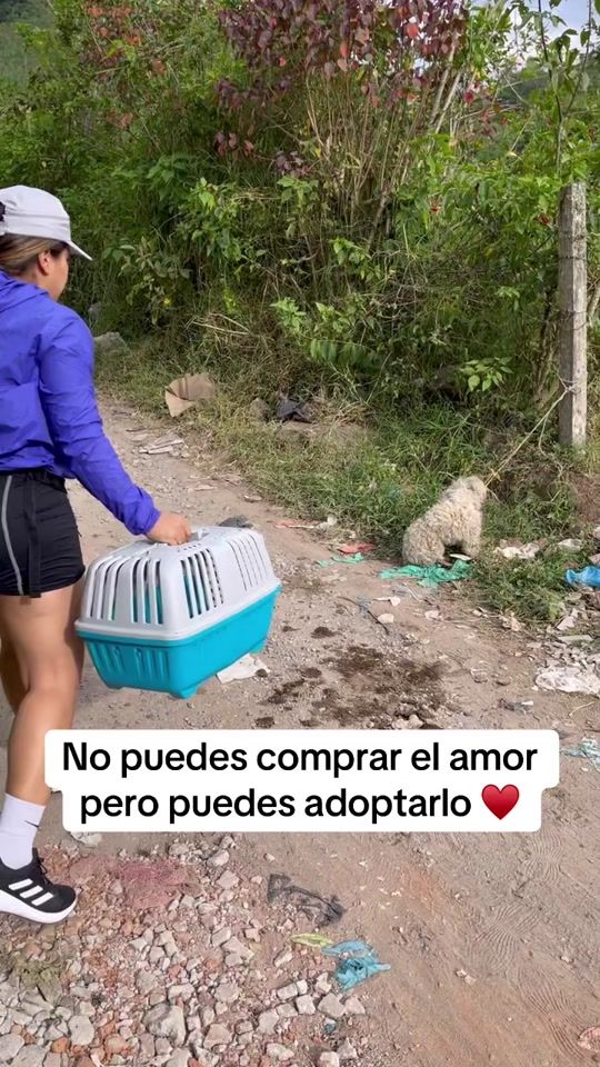 TikTok video thumbnail by alejaayuda