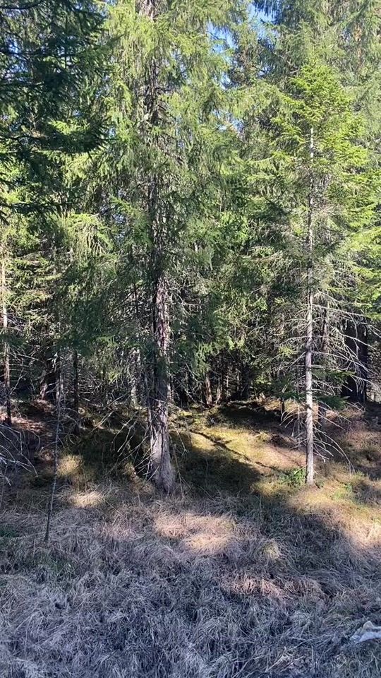 TikTok video thumbnail by fairycgq