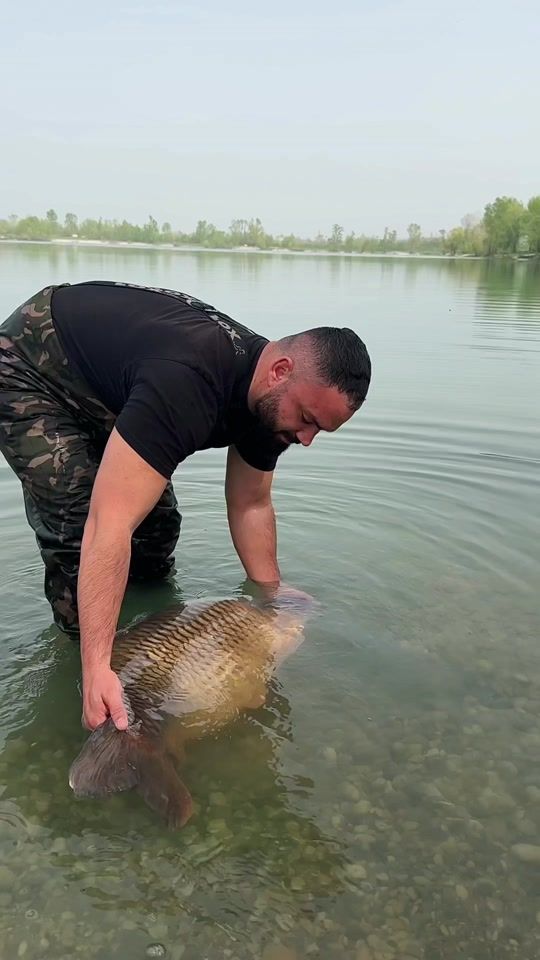 TikTok video thumbnail by danielfd1919