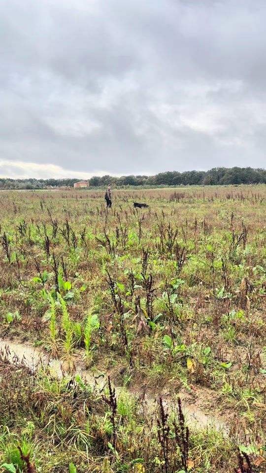 TikTok video thumbnail by sesamebear33