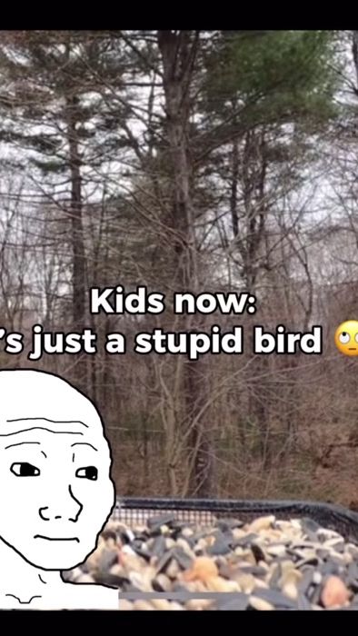 TikTok video thumbnail by donslime7