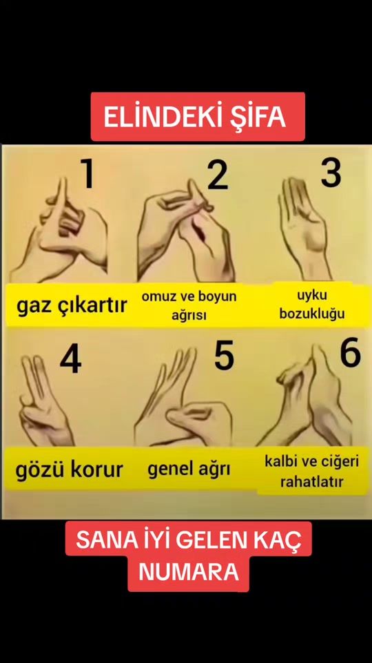 TikTok video thumbnail by elif_dadas_25