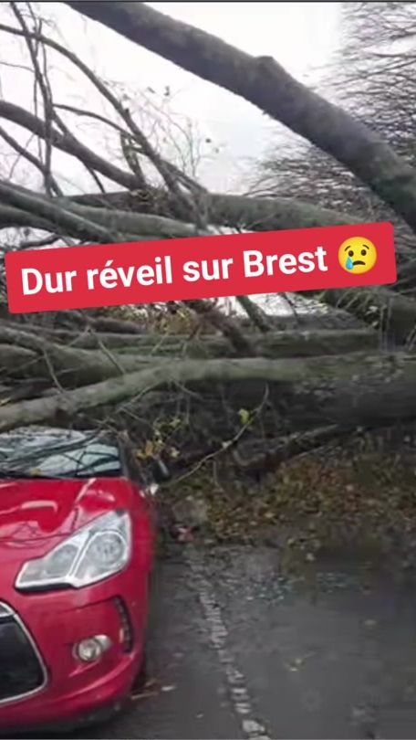 TikTok video thumbnail by actu.29