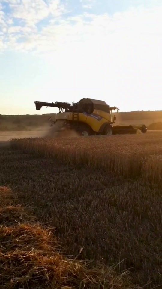 TikTok video thumbnail by coupe.sauvage.agri