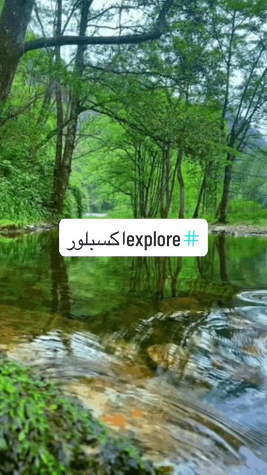 TikTok video thumbnail by wij194