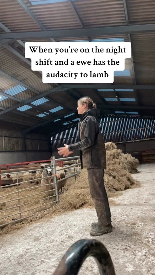 TikTok video thumbnail by imogenogborne0